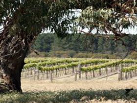 Wangolina Station - Goulburn Accommodation 3