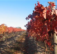 Kooyonga Creek Wines - Goulburn Accommodation