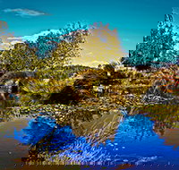 Loira Vines - Goulburn Accommodation