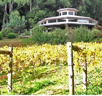 Peveril Vineyard/Beechy Berries - Goulburn Accommodation