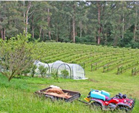 Peveril Vineyard/Beechy Berries - Goulburn Accommodation 1