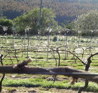 Three Willows Vineyard - Goulburn Accommodation