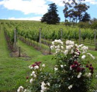 Pembroke Estate Vineyard - Goulburn Accommodation