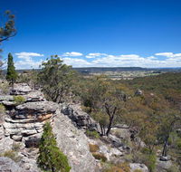 Munghorn Gap Nature Reserve - Goulburn Accommodation