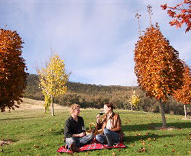 Gapsted Wines - Goulburn Accommodation 5