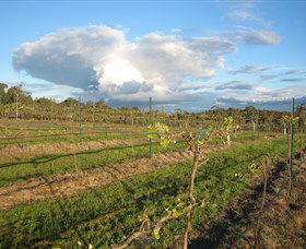 Flyfaire Wines - Goulburn Accommodation 7