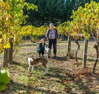 Little River Wines of Taggerty - Goulburn Accommodation