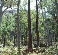 Cathedral Range State Park - Goulburn Accommodation