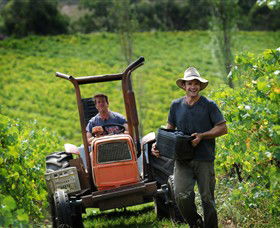 Kellybrook Winery, Kelly Brothers Cider & Riders Brew Co. - Goulburn Accommodation 0