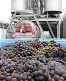 Punt Road Winery - Goulburn Accommodation 4