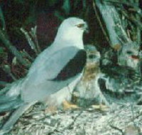 Bushy Park Wetlands - Goulburn Accommodation