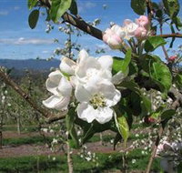 Mouat's Farm - Goulburn Accommodation