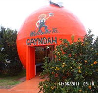 Gayndahs Big Orange - Goulburn Accommodation