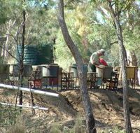 7 Oaks Sapphire Fossicking - Goulburn Accommodation