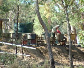 7 Oaks Sapphire Fossicking - Goulburn Accommodation 0
