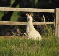 Panorama Garden Estate - Goulburn Accommodation