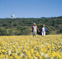 Koolanooka Springs - Goulburn Accommodation