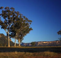 Capertee Valley Bird Trail - Goulburn Accommodation