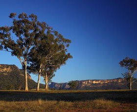 Capertee Valley Bird Trail - Goulburn Accommodation 0