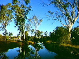 Dingo Creek Park - Goulburn Accommodation 0