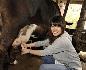 Warrook Farm - Goulburn Accommodation 2