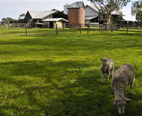 Warrook Farm - Goulburn Accommodation 4