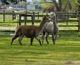 Warrook Farm - Goulburn Accommodation 6