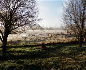Jannei Artisan Cheese Makers - Goulburn Accommodation 2