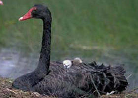  Goulburn Accommodation