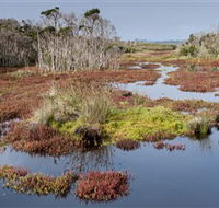 French Island National Park - Goulburn Accommodation