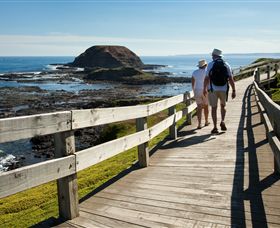Phillip Island Nature Parks - Goulburn Accommodation 3