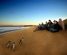 Phillip Island Nature Parks - Goulburn Accommodation 7