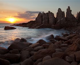 Phillip Island Nature Parks - Goulburn Accommodation 6