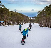Mt Baw Baw Alpine Resort - Goulburn Accommodation