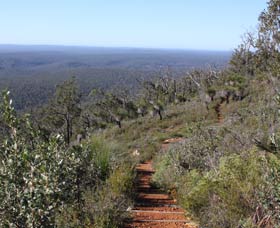 Mount Dale Walk Trail - Goulburn Accommodation 0