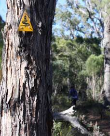 Mount Dale Walk Trail - Goulburn Accommodation 1