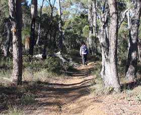 Mount Dale Walk Trail - Goulburn Accommodation 2