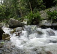 Washpool National Park - Goulburn Accommodation