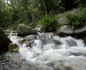 Washpool National Park - Goulburn Accommodation 0