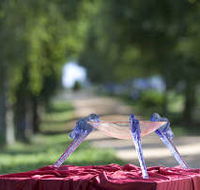 Lillico Glass Studio - Goulburn Accommodation
