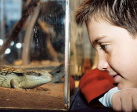 Canberra Reptile Zoo - Goulburn Accommodation 0