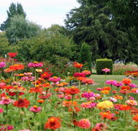 Alma Park - Goulburn Accommodation