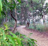 Mount Mutton Walking Trail - Goulburn Accommodation