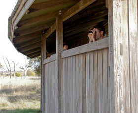 Dangars Lagoon And Racecourse Lagoon - Goulburn Accommodation 3