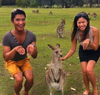 Runaway Tours - Goulburn Accommodation