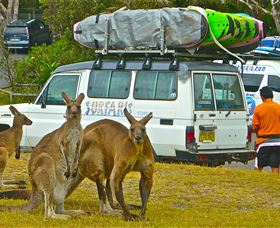 Surfaris Surf Camp - Goulburn Accommodation 3