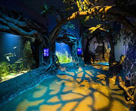 SEA LIFE Sydney Aquarium - Goulburn Accommodation 2
