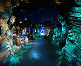 SEA LIFE Sydney Aquarium - Goulburn Accommodation 3