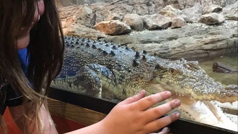 Canberra Reptile Zoo - Goulburn Accommodation 3