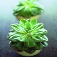 Crossroads Homemaker Centre - Goulburn Accommodation 1